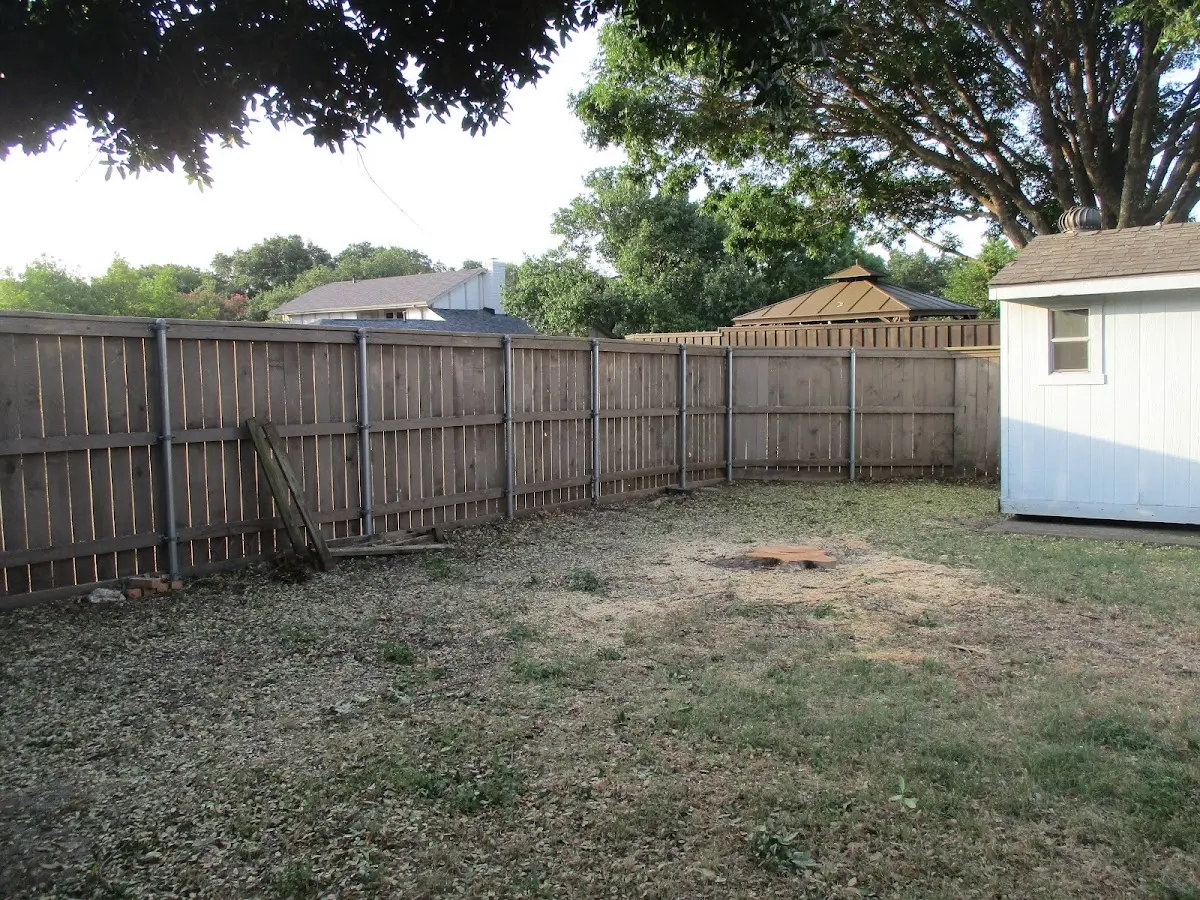 Cleared yard after professional tree removal in Bellona